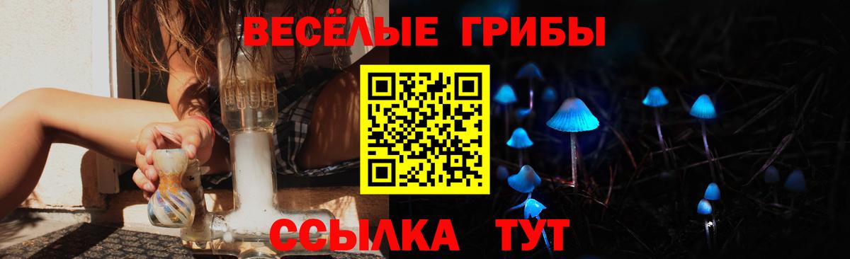 Галлюциногенные грибы ЛСД  Вход с VPN  Апатиты  Галлюциногенные грибы GOLDEN TEACHER 